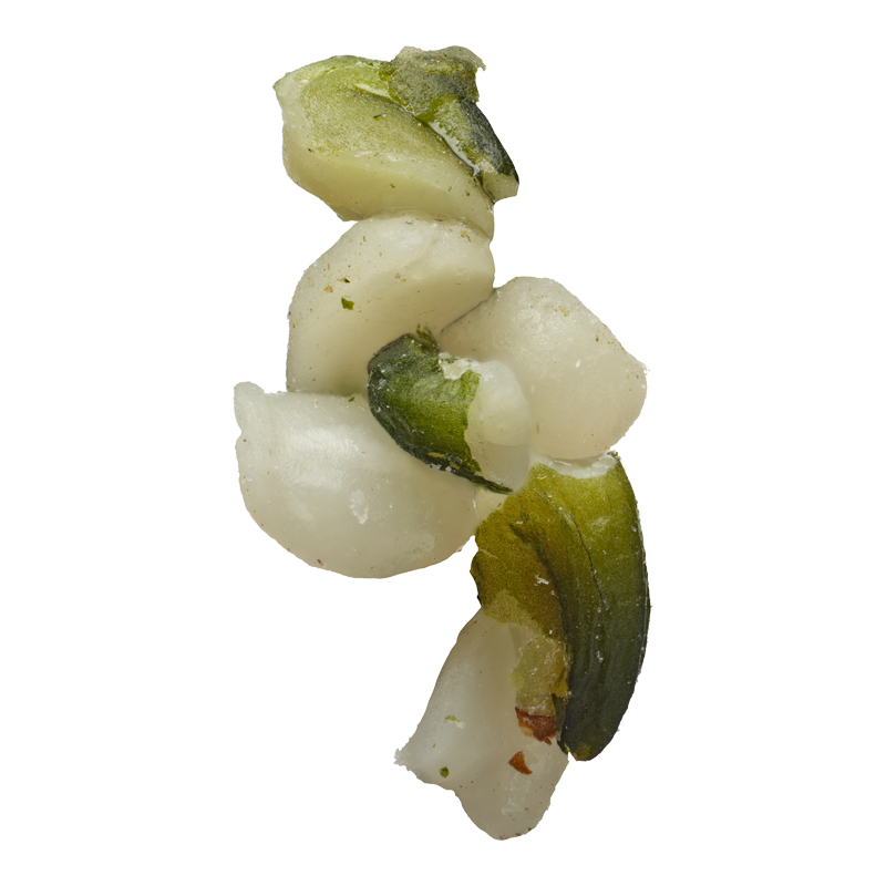 canapa-decorticata pedon